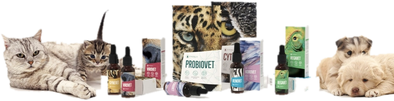 Produkty Energy pro zvířata